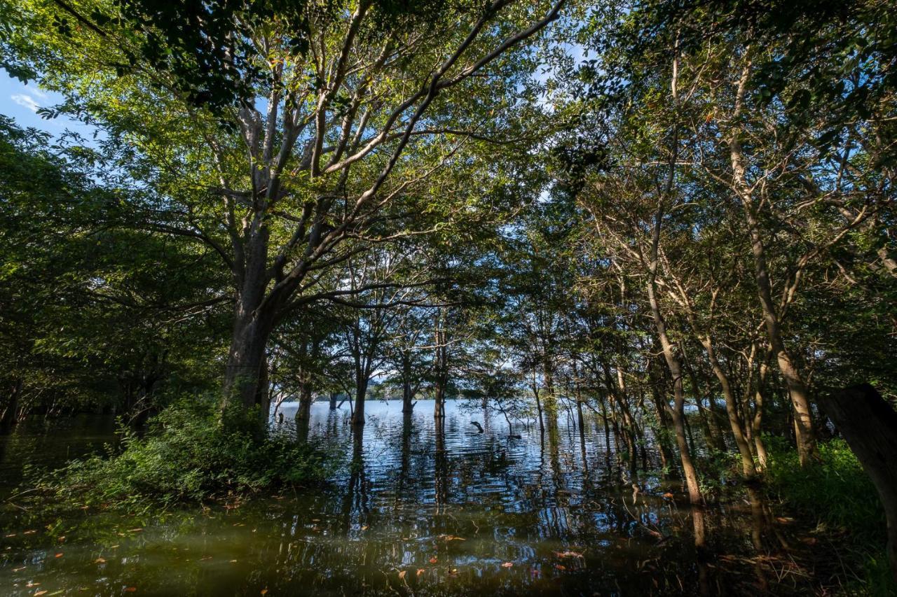 Вилла Banyan Camp Hambegamuwa Экстерьер фото