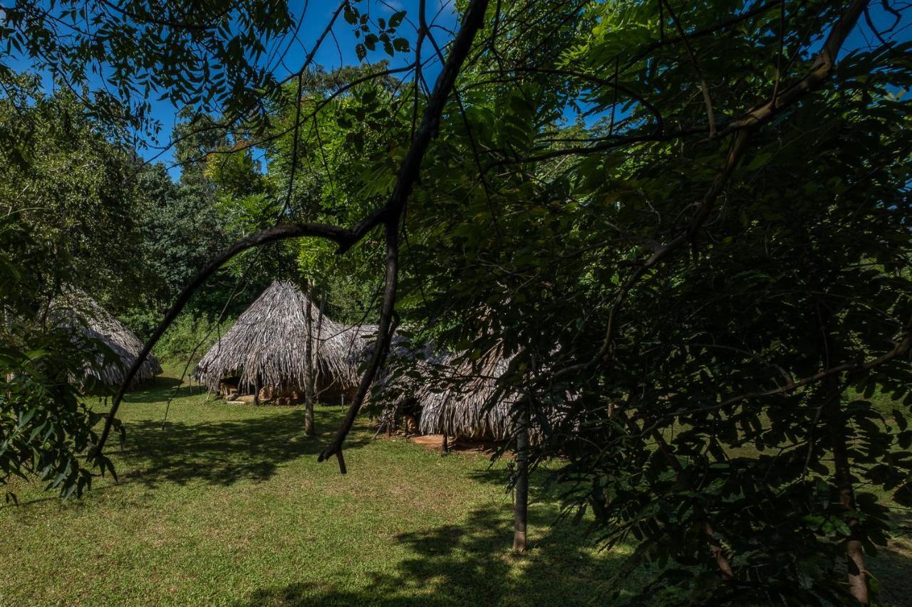 Вилла Banyan Camp Hambegamuwa Экстерьер фото
