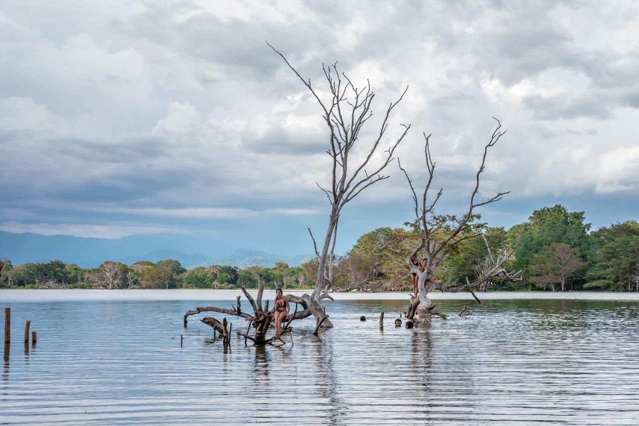 Вилла Banyan Camp Hambegamuwa Экстерьер фото